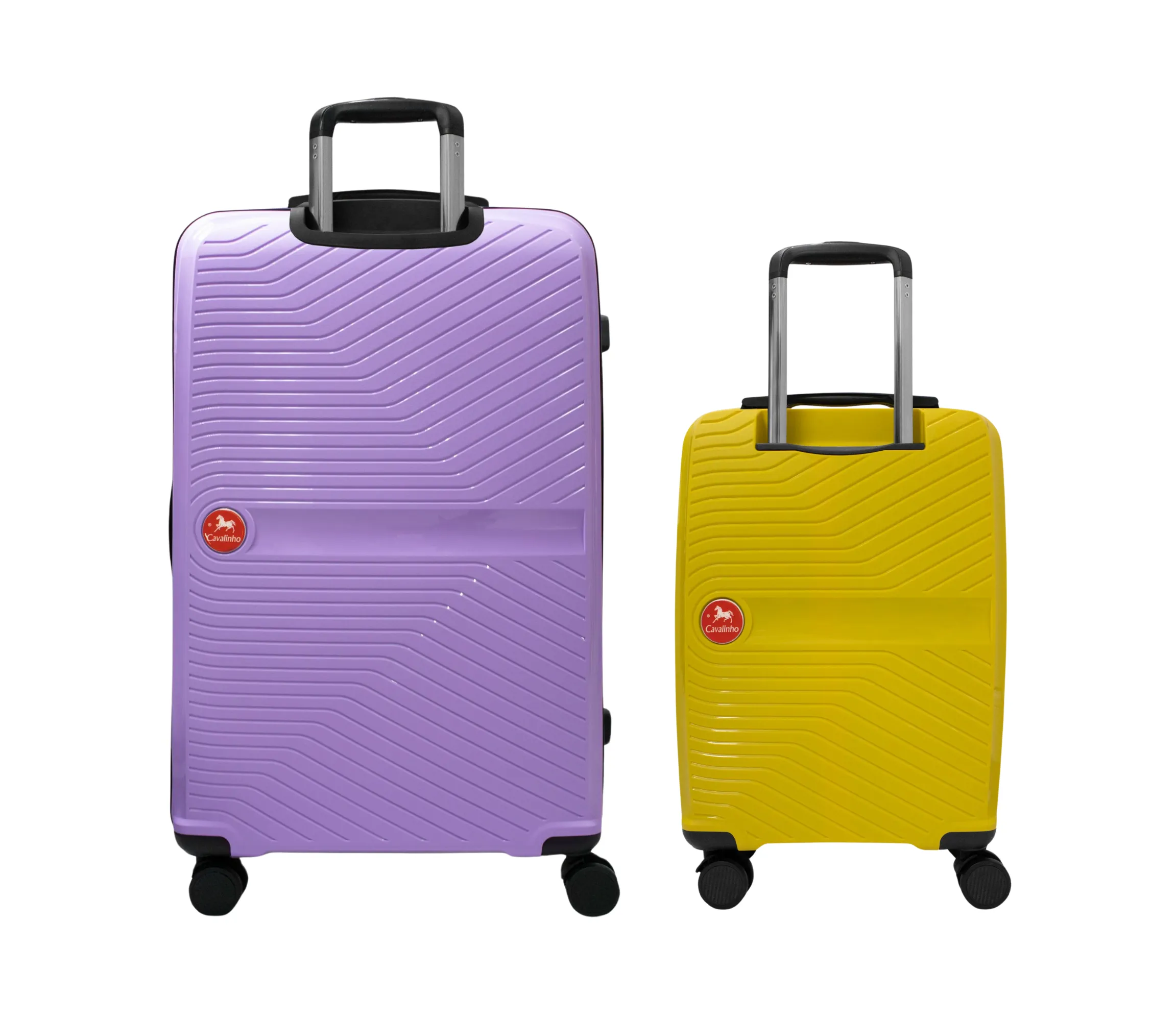 Colorful 2 Piece Luggage Set (19" & 28")