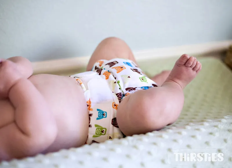 Thirsties One-Size All-in-One Diaper